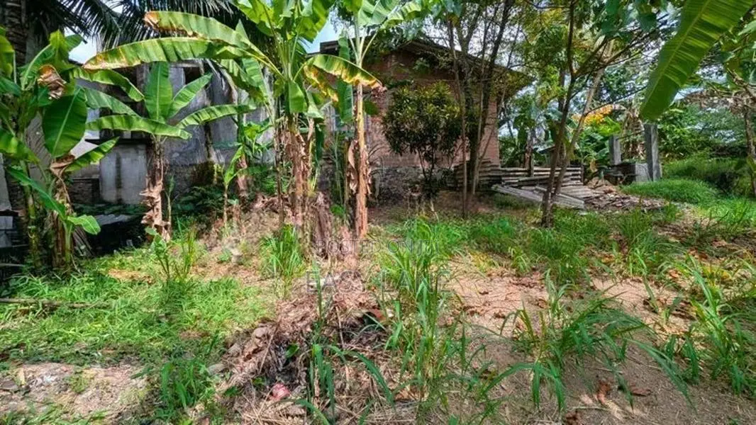 කඩවත මැයිගහමුලින් වටිනා ඉඩමක්