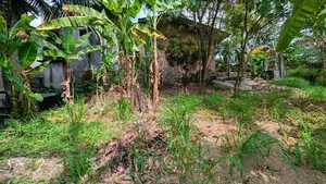 කඩවත මැයිගහමුලින් වටිනා ඉඩමක්