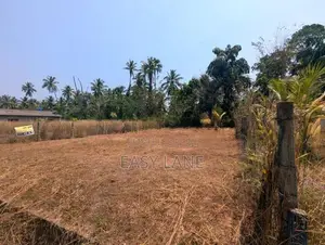 මීරිගම - මීගමුව පාරට ආසන්නයෙන් වටිනා ඉඩමක්