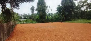 12P Paddy Field Facing Bare Land For Sale In Malabe