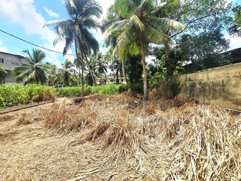 8.10P Prime Bare Land For Sale In Thalawathugoda