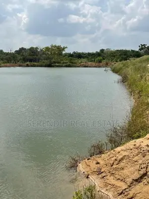 13.5 Acres Agricultural Land Sale in Puttalam