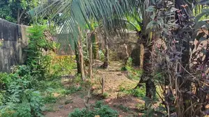 Prime 23.5 Perch Residential Land for Sale in Rathmalana | SL14754