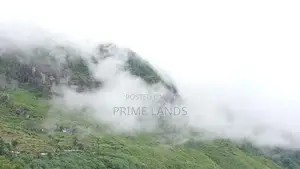 Land for sale Nuwara Eliya Road pundaluoya