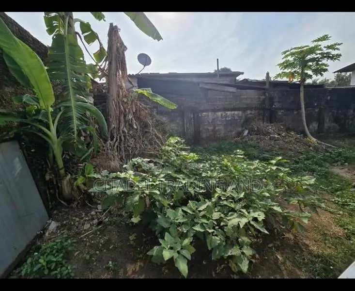 Land With A Old House For Sale In Attidiya - CL839