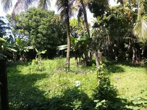 almost house for super land sale in kohuwala