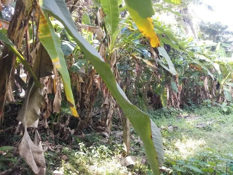 almost house for super land sale in kohuwala