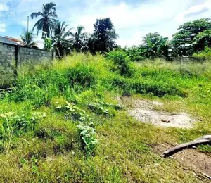 8.3 Perch Bare Land For Sale In Attidiya Near Main Road