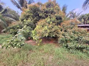 හයිලෙවල් පාරට ලගින්ම පර් 10 ඉඩමක් විකිනිමට