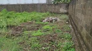 Land for sale in Boralesgamuva
