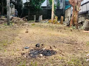 15 Perches Land Sale in Dehiwala