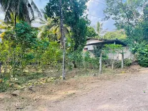 Land for Sale Panagoda, Lenagala. (ID : PNGD001)