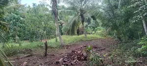 GAMPAHA : 225 Perch Prime Land for Sale in Dewalapola.