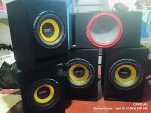 Car/Van Woofer