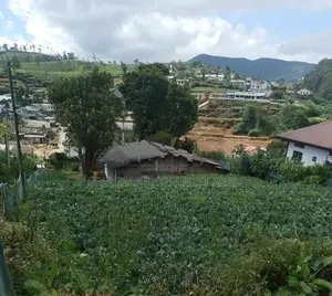 Nuwara Eliya : 20P Prime Land for Sale