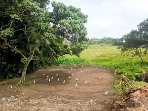 Kottawa 10p Land For Sale