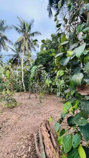 Land for Sale Gonapala Weediyagoda Road