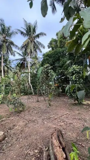 Land for Sale Gonapala Weediyagoda Road