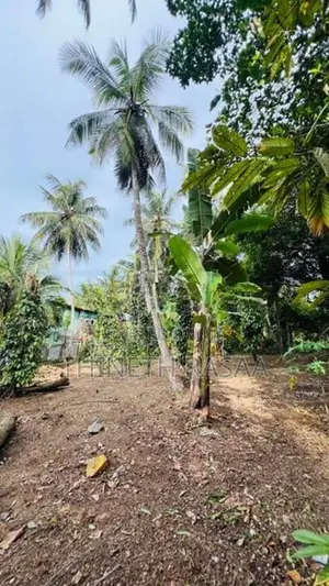 Land for Sale Gonapala Weediyagoda Road