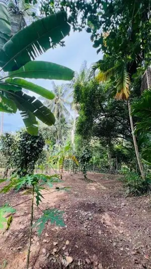 Land for Sale Gonapala Weediyagoda Road