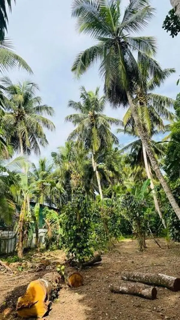 Land for Sale Gonapala Weediyagoda Road