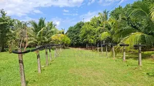 Embilipitiya : 5.5 Acre Valuable Land for Sale in Thunkama