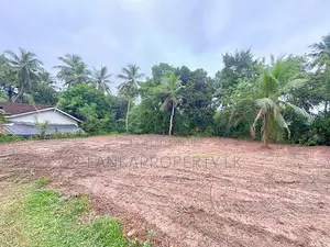 Valuable 38-Perch Land for Sale in Dunagaha, Minuwangoda.