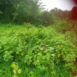 සීදුව මුතුවාඩිය පාර, කුස්වල පර්චස් 13.5 ඉඩමක්
