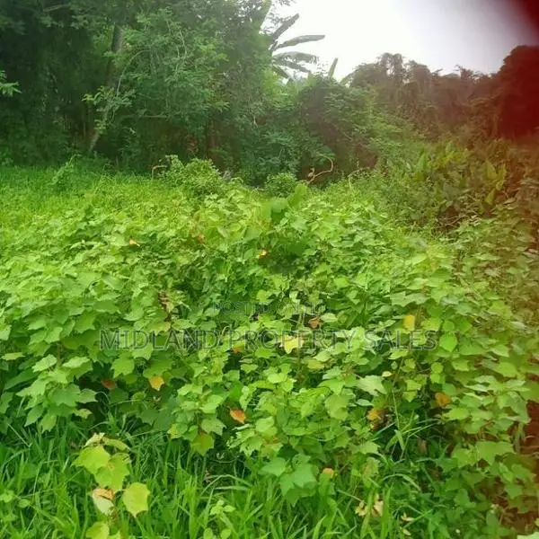 සීදුව මුතුවාඩිය පාර, කුස්වල පර්චස් 13.5 ඉඩමක්