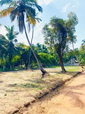 හලාවතට නුදුරින් ඉඩමක්