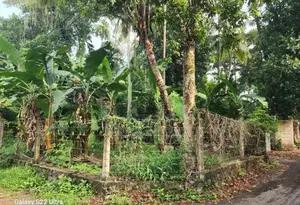 Valuable 15 Perch Land for Sale in Gampaha, Yakkala