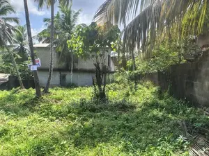 Land for Sale Katukurunda Road, Henegama