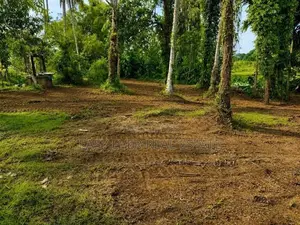 කඩවත ඉබුල්ගොඩින් සුපිරි ඉඩමක්
