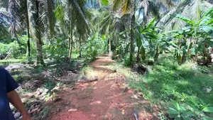 114 Perches Land for Sale in Massala, Beruwala