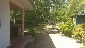 Main road facing Single house rent in Ja Ela (Commercial or Residentia