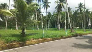 යක්කල කිරිදිවැල පාරට මුහුනලා බිම්කොටස්