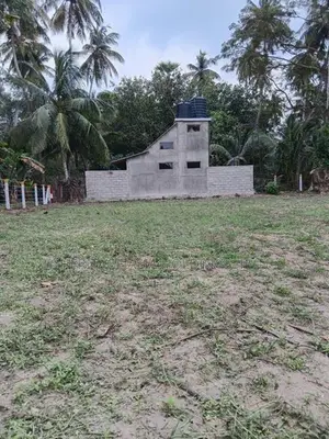හලාවත පම්බල පර්.17 අගනා ඉඩමක්