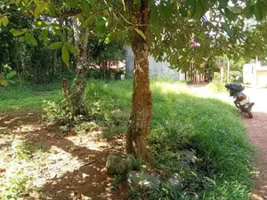 Yakkala Kalagedihena Land