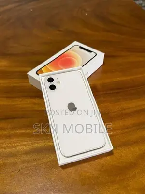 Apple iPhone 12 mini 64GB (Used)