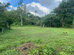 95 Perch Land Horana - Moragahena