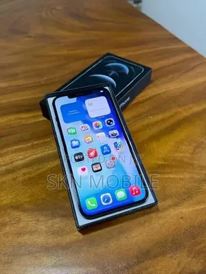 Apple iPhone 12 Pro Max 256GB (Used)