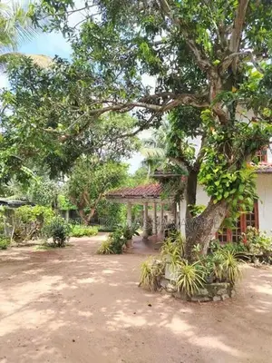 Tourist Villa Holiday For Rent - Katunayake