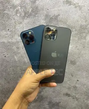 Apple iPhone 12 Pro Max 256GB (Used)