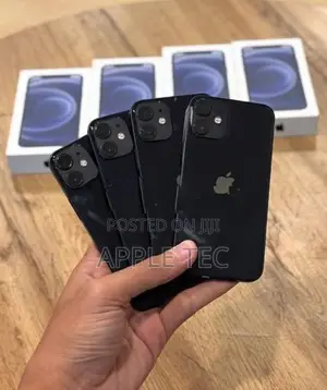 Apple iPhone 12 mini 128GB (Used)