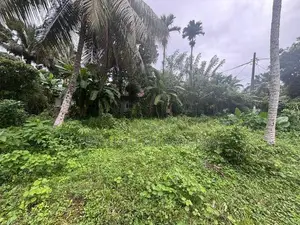 Land for Sale in Kalutara