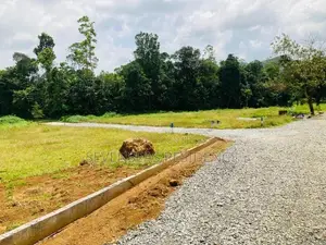 Valuable land for sale in Eheliyagoda