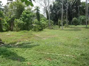 Minuwangoda Kotugoda 40 Container Access Land on Sale Warehouse Factor