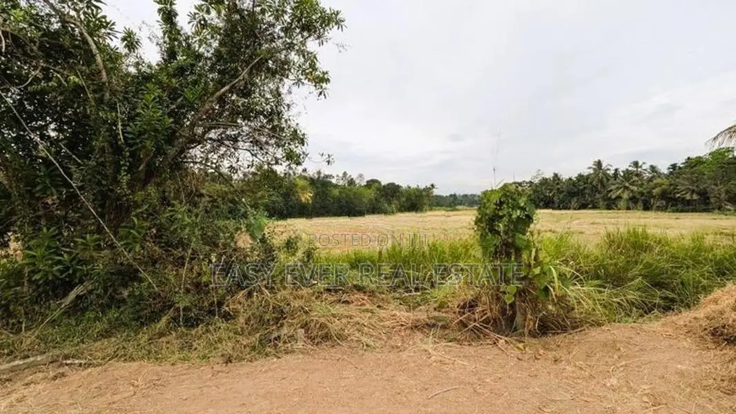 නිට්ටඹුව නගරයෙන් ඉඩමක් විකිණීමට