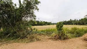 නිට්ටඹුව නගරයෙන් ඉඩමක් විකිණීමට