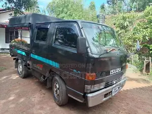Isuzu 250 Crew Cab 1983